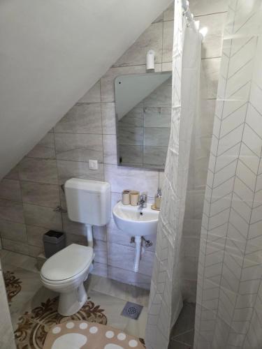 a bathroom with a toilet and a sink at Konoba Taline Sokolac in Rešetnica