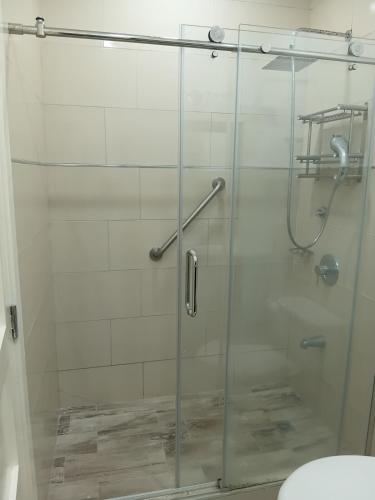 a shower with a glass door with a toilet at Kingston Condo with Rooftop Pool & Gazebo in Kingston
