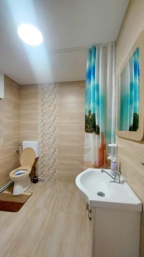 a bathroom with a white sink and a toilet at Cabana La Cucu in Vadu Moţilor