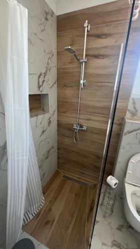 a bathroom with a shower and a toilet at Holiday Home Paradise in Prozor