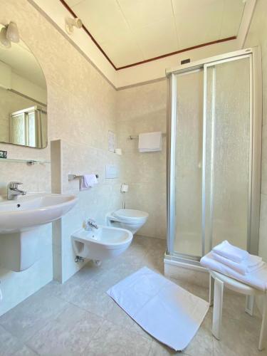 ein Badezimmer mit Waschbecken, Dusche und Toilette in der Unterkunft Hotel Alberello - Varone in Riva del Garda