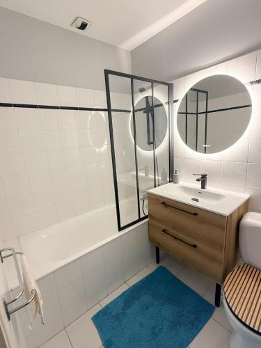Studio Toulouse hyper centre Pont Neuf St Cyprien