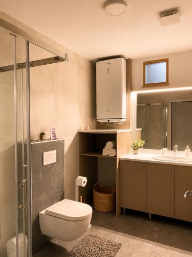 a bathroom with a toilet and a sink and a shower at Apartma Arbores in Sveti Jurij ob Ščavnici