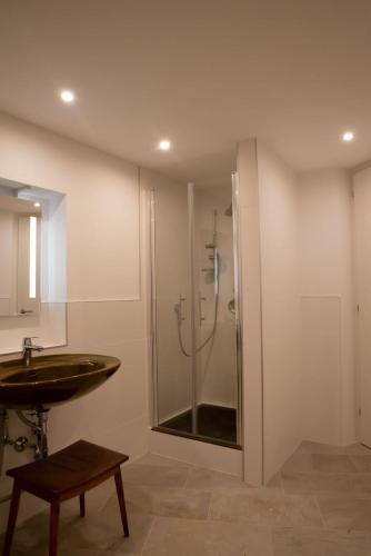 a bathroom with a shower and a sink at Apartment FreiRaum in Innsbruck