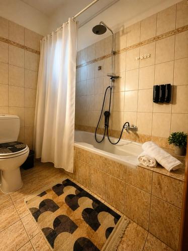 a bathroom with a tub and a toilet and a shower at Casa Miniera in Linopótis