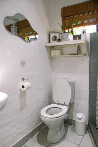 a bathroom with a toilet and a sink and a mirror at Canary Cottage in Greyton
