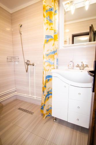 a bathroom with a sink and a shower at Căşuţa LA CUCU in Vadu Moţilor