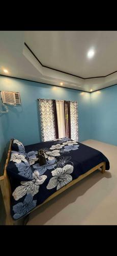 a bed in a blue bedroom with a cat sitting on it at Dorz Inn in Moalboal