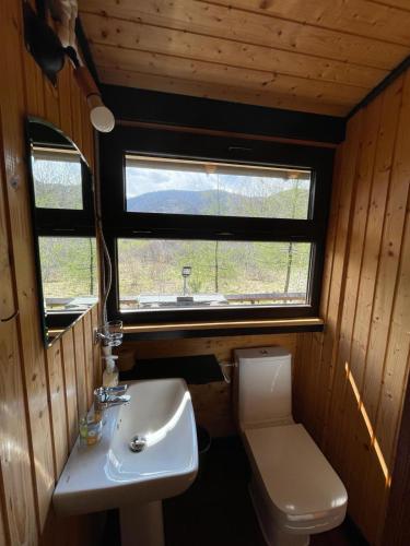 a bathroom with a sink and a toilet and a window at Alpinlife in Dejani