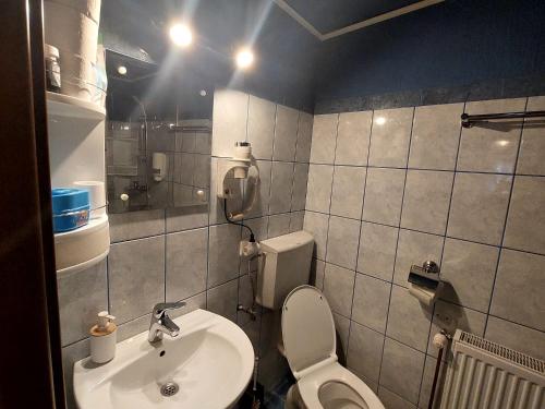 a bathroom with a toilet and a sink at Casa Anomis in Călimăneşti