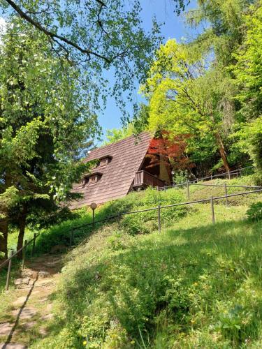a house on the side of a hill with trees at Chata Huslenky in Huslenky