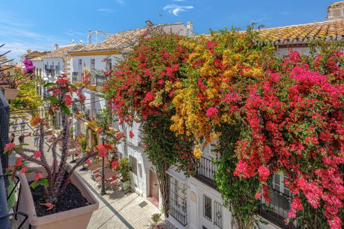 Foto Casa Ancha 10 1