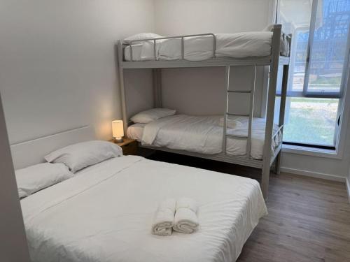 two bunk beds in a room with a window at Spacious New Home for 12 Guests in Campbelltown South