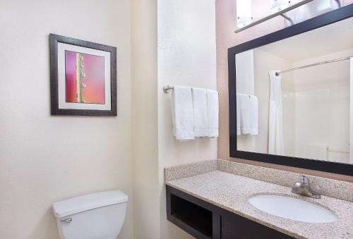 a bathroom with a sink and a toilet and a mirror at Holiday Inn Express & Suites Murphy by IHG in Murphy
