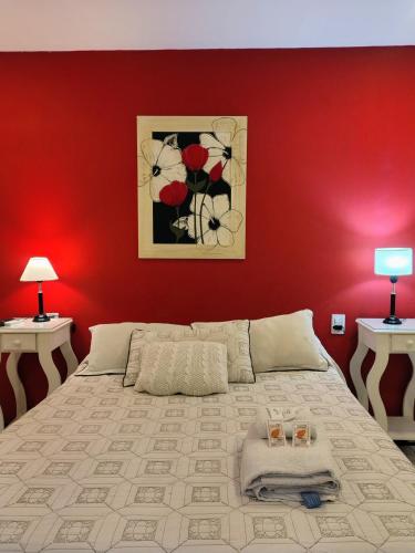 a bedroom with a large bed with a red wall at Hotel Alhambra in General Alvear