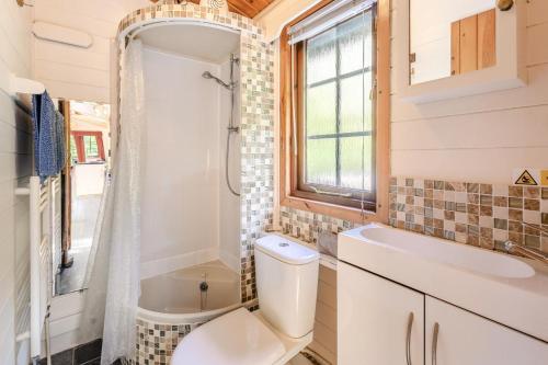 a bathroom with a toilet and a shower and a sink at 2 Bed in Lynton oc-riverl in Lynmouth