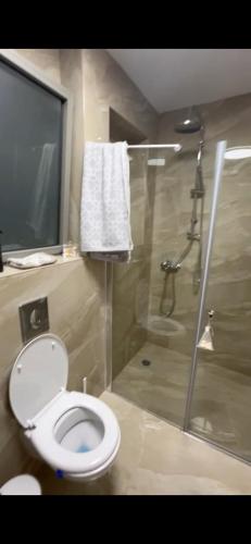 a bathroom with a toilet and a shower with a television at Quiet Corner in Mafshatah
