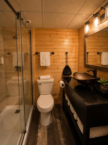 a bathroom with a toilet and a shower and a sink at Quality Inn Fort Frances in Fort Frances