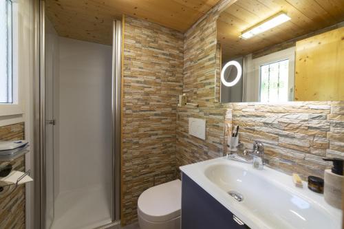 a bathroom with a sink and a toilet and a mirror at Bergpanorama in Wildhaus
