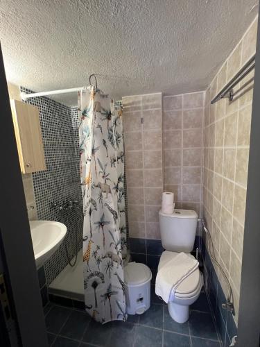 PELEKAN rooms and apartments Athina 33