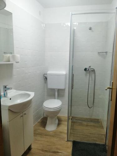 a bathroom with a toilet and a sink and a shower at Cozy room in Pula