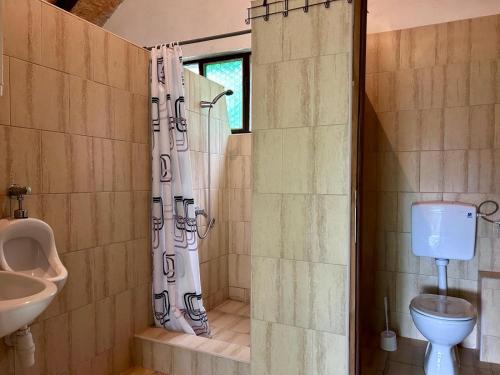 a bathroom with a shower and a toilet and a sink at Camping Lukač in Kutina