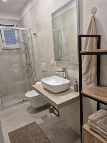 a bathroom with a sink and a toilet and a shower at Studio apartman Fabi in Novigrad Istria