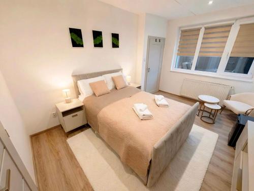 Axiom Suites - Astra 4