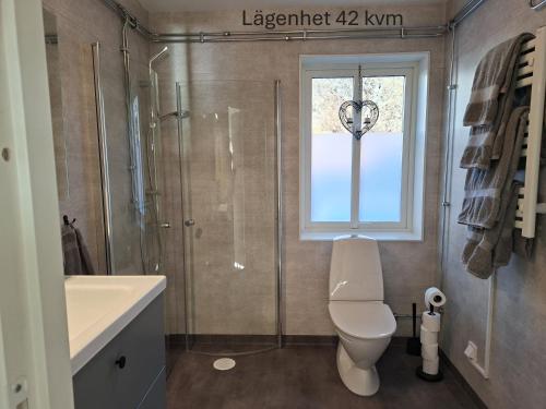a bathroom with a toilet and a shower and a window at Ellas Brygga in Karlskrona