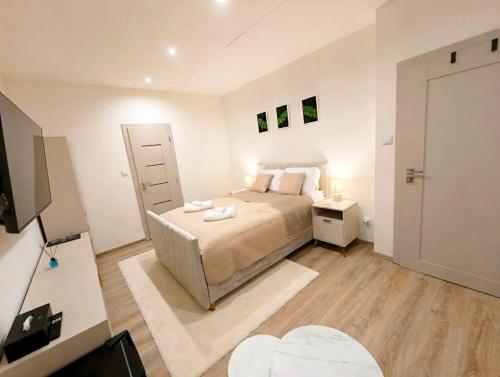 Axiom Suites - Astra 5