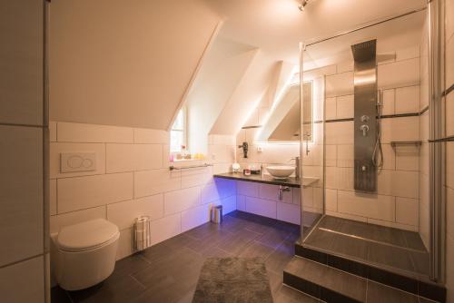 a bathroom with a shower and a toilet and a sink at Max Aviation Villa & Apartments in Bern