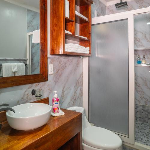a bathroom with a sink and a toilet and a mirror at Blue Horizon Studios in Roatán