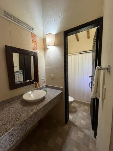 a bathroom with a sink and a toilet at Finca Panaca Jaguey 7 in Quimbaya