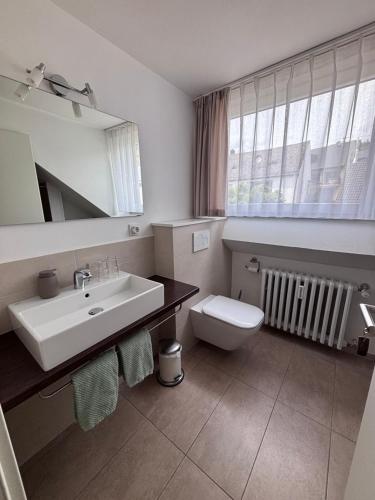 a bathroom with a sink and a toilet and a mirror at Gästehaus Am Rebenhang in Mehring