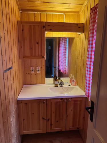 a bathroom with a sink and a mirror at Cozy lakeside cabin in Buvika