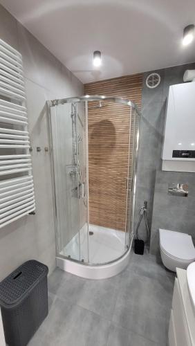 a bathroom with a shower and a toilet at Apartament Mickiewicza in Staszów