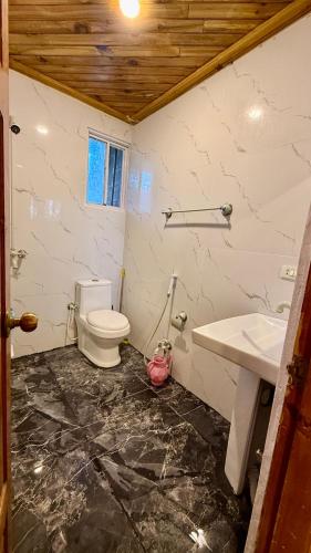 a bathroom with a toilet and a sink at Umda Hotel in Nathia Gali