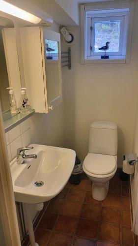 a bathroom with a sink and a toilet and a window at Lägenhet i Strömstad in Strömstad