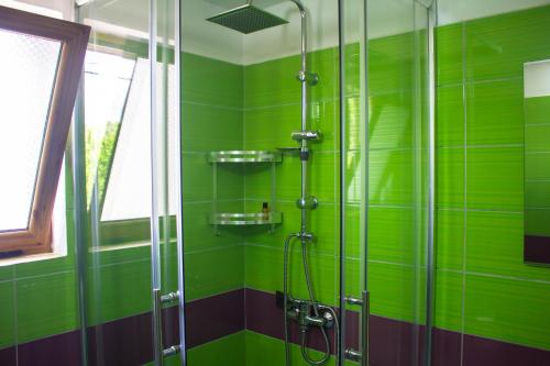 a green bathroom with a shower with green tiles at CASTLE View SERENITY -- BERAT in Berat