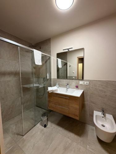 a bathroom with a sink and a shower and a toilet at Hotel Harpf in Bressanone
