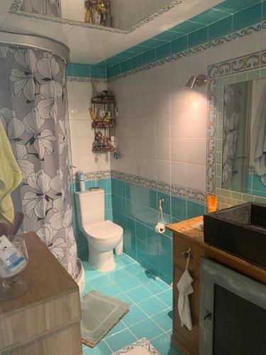 a bathroom with a toilet and a sink at Chambre dans charmant Cottage dans résidence agréable in Grasse
