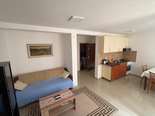 a living room with a couch and a kitchen at Tara Apartment in Herceg-Novi
