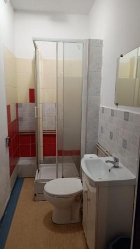 a bathroom with a toilet and a shower and a sink at Diskrepant Budget Room in Warsaw