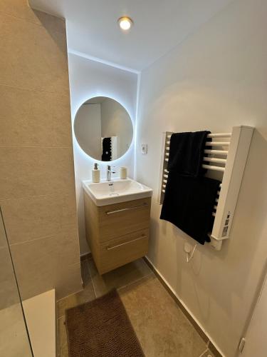 a bathroom with a sink and a mirror at Le Cocon du Royat Palace in Royat