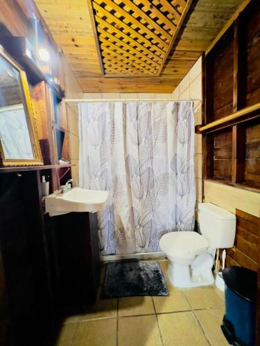 a bathroom with a toilet and a sink at LOTO'S House in West End