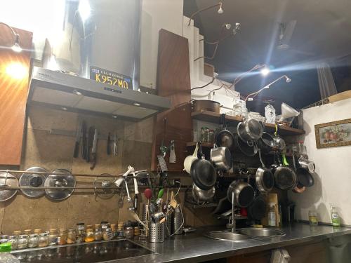 a kitchen with pots and pans hanging on a wall at Villatopol Art Hostel in Rząska