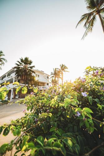 a hedge of plants with palm trees and a building at Marea by Mar Paraiso Queen in Acapulco