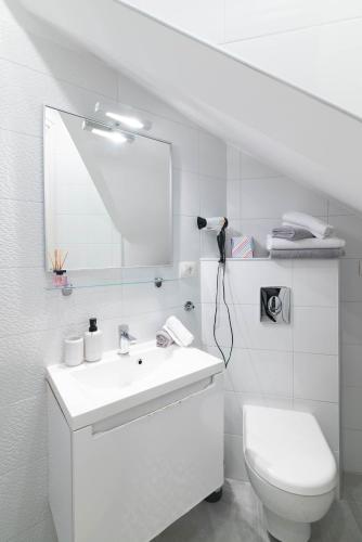 Apartments with WiFi Rovinj - 25550