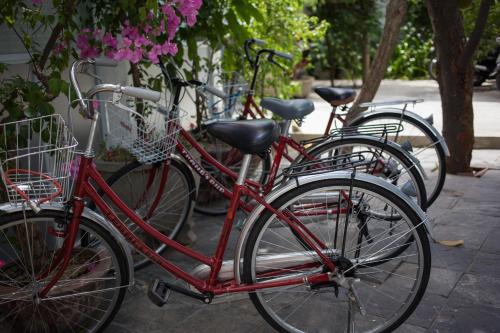 a group of bikes parked next to each other at Quynh Long Villa in Hoi An