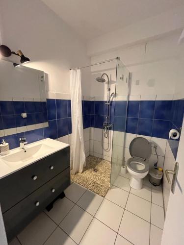 a bathroom with a shower and a toilet and a sink at La maison sur la plage in Saint-Pierre